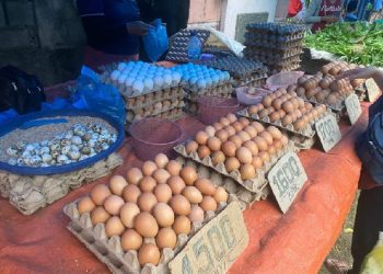 Pedagang telur di salah satu pasar Kota Medan.