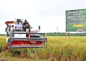 Gubernur Sumut Bobby Nasution mengoperasikan mesin pemanen padi bersama Wakil Gubernur Sumut Surya, Pangdam I Bukit Barisan Mayjend TNI Rio Firdianto dan Bupati Serdangbedagai Darma Wijaya saat Panen Raya Padi Serentak di 14 Provinsi se Indonesia di Desa Paya Mabar, Kecamatan Tebingtinggi, Kabupaten Serdangbedagai, Senin (7/4/2025). Foto/Diskominfo Sumut