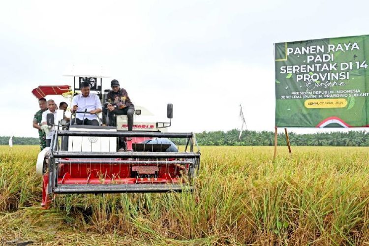 Gubernur Sumut Bobby Nasution mengoperasikan mesin pemanen padi bersama Wakil Gubernur Sumut Surya, Pangdam I Bukit Barisan Mayjend TNI Rio Firdianto dan Bupati Serdangbedagai Darma Wijaya saat Panen Raya Padi Serentak di 14 Provinsi se Indonesia di Desa Paya Mabar, Kecamatan Tebingtinggi, Kabupaten Serdangbedagai, Senin (7/4/2025). Foto/Diskominfo Sumut