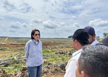 Direktur Keuangan dan Manajemen Risiko PTPN IV PalmCo Hilda Savitri saat mengunjungi areal tanam ulang sawit Perusahaan. Hilda berpesan kepada Kartini masa kini di PalmCo agar terus mengupgrade pengetahuan dan keahlian dengan terus belajar, sehingga karyawan wanita di Perusahaan dapat mendorong percepatan transformasi yang saat ini sedang digesa oleh Perusahaan.