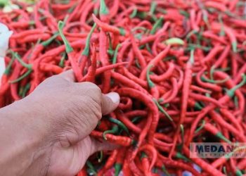 Pedagang cabai merah di salah satu pasar Kota Medan.