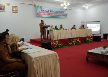 Rakor transformasi pokjanal posyandu di Madina.