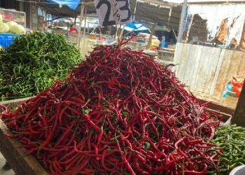 Pedagang cabai merah di salah satu Pasar di Deliserdang.