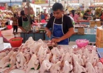 Pedagang ayam potong di salah satu pasar. Foto/YouTube